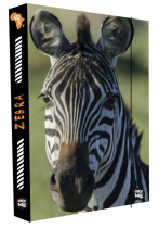 Box na sešity A4 Jumbo Zebra